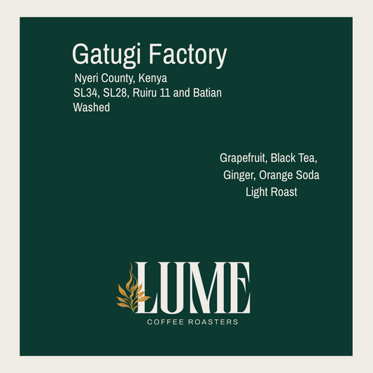 Gatugi Factory 100g