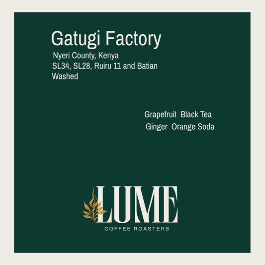 Gatugi Factory 100g